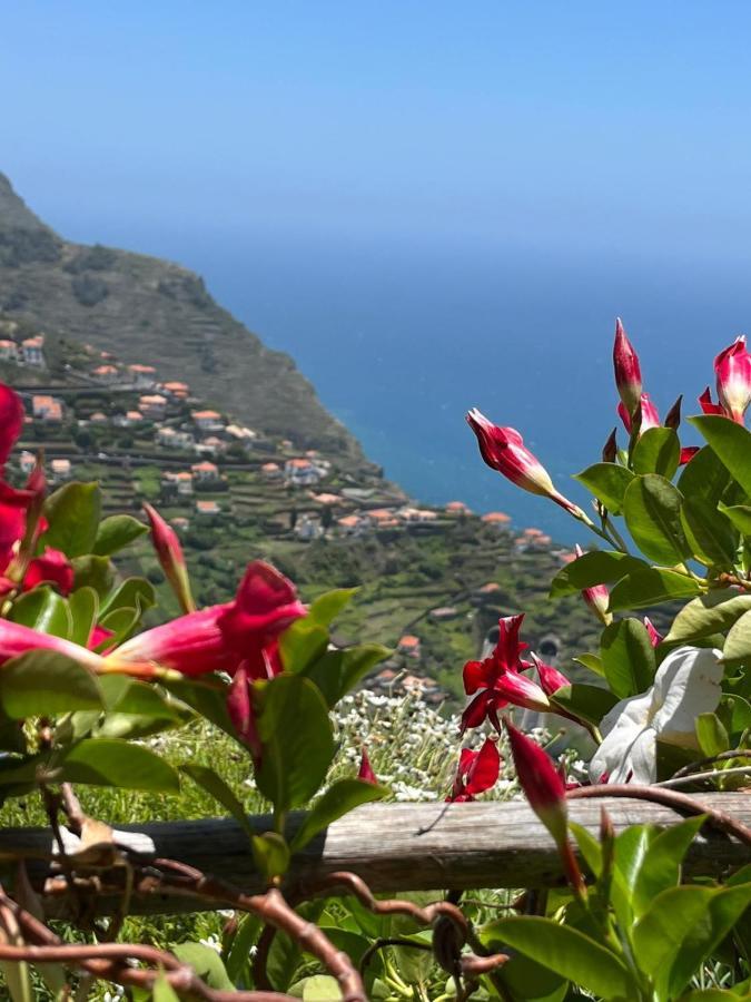 Tropical House Villa Ribeira Brava Exterior photo