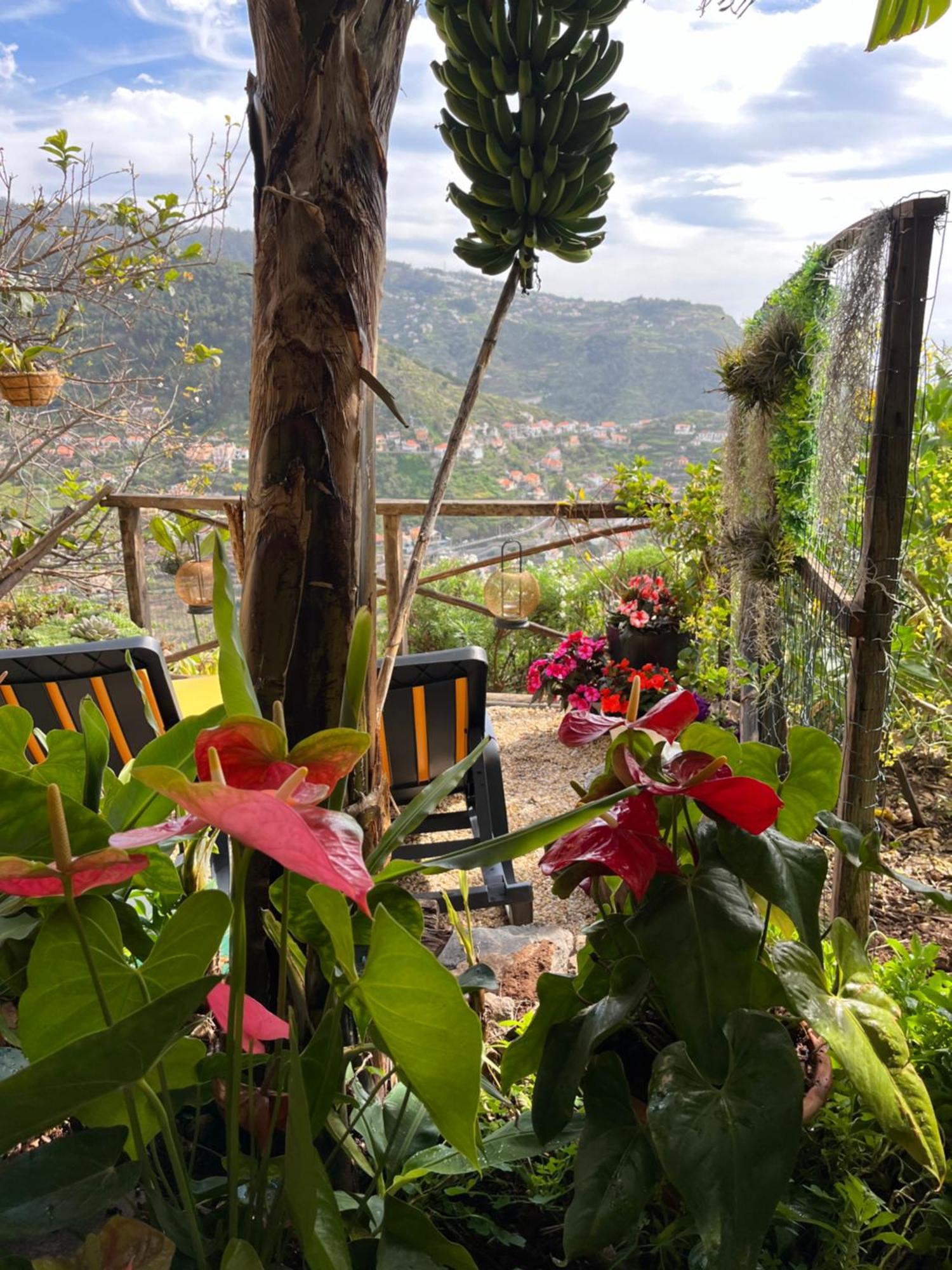 Tropical House Villa Ribeira Brava Exterior photo