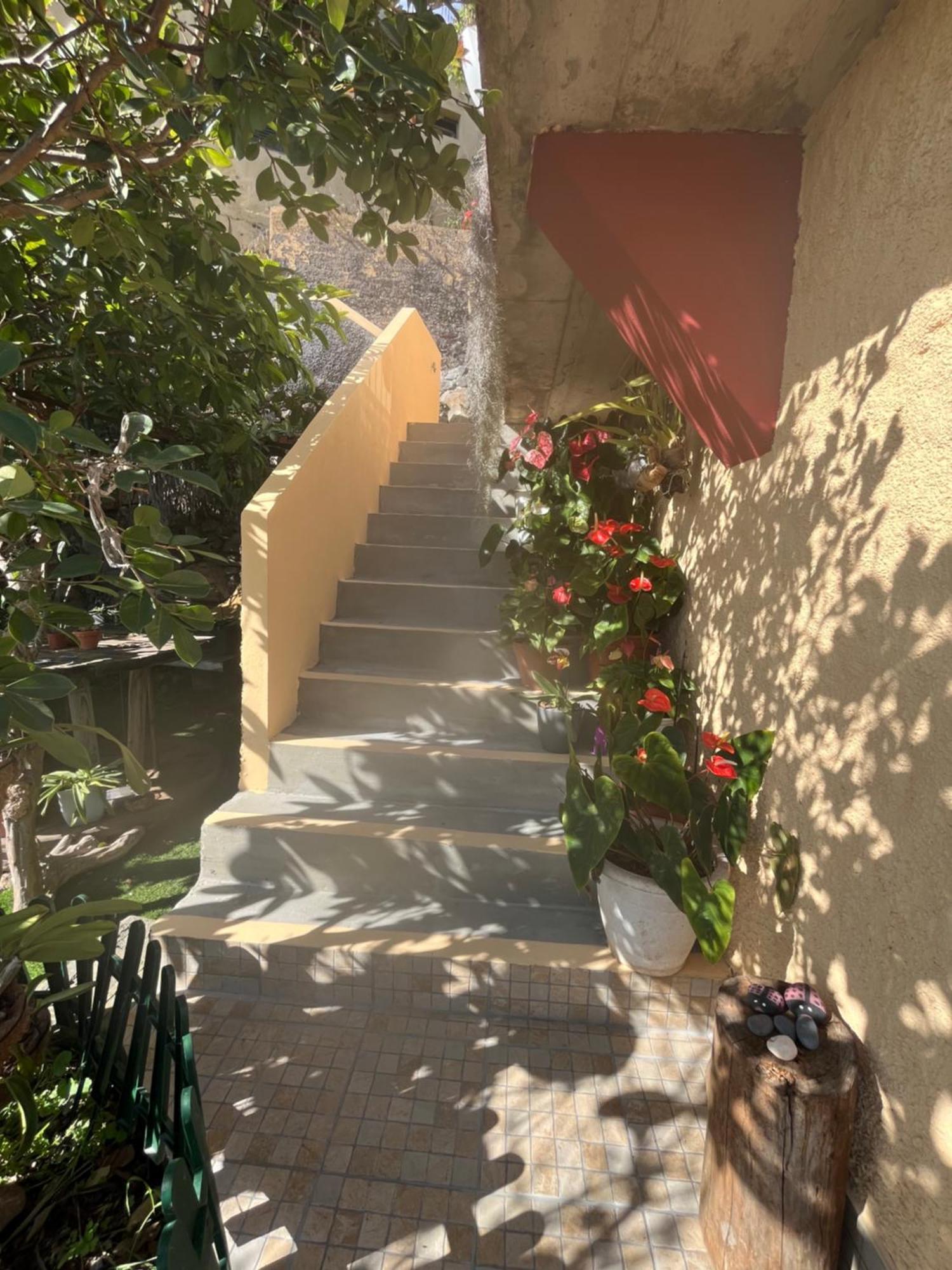 Tropical House Villa Ribeira Brava Exterior photo