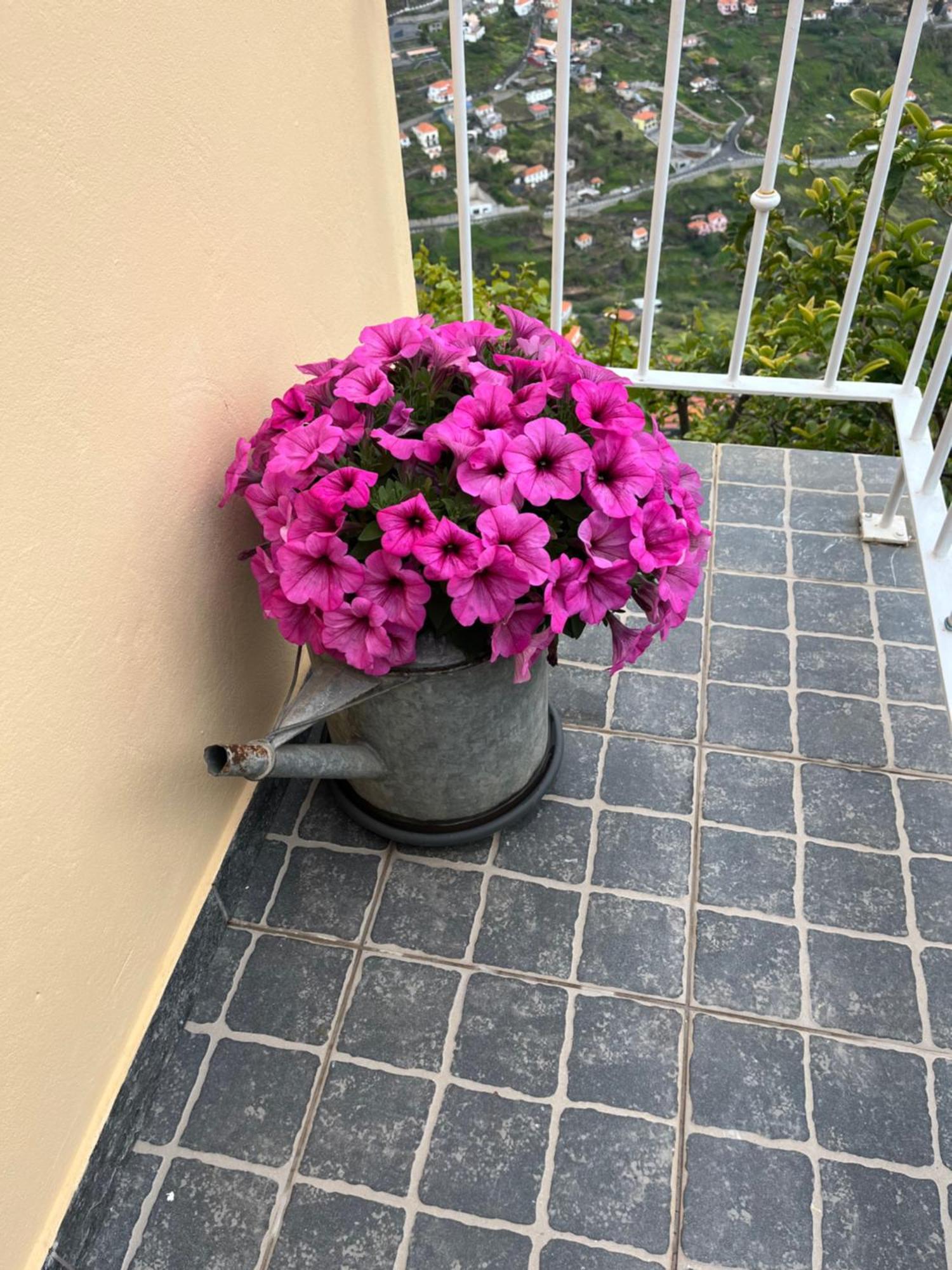 Tropical House Villa Ribeira Brava Exterior photo